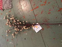 Load image into Gallery viewer, Neutral fall stems
