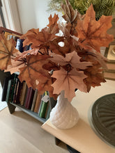 Load image into Gallery viewer, Short fall stems