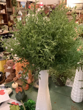 Load image into Gallery viewer, Greenery pick