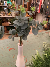 Load image into Gallery viewer, Greenery pick