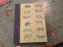 Load image into Gallery viewer, Vintage Books