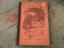 Load image into Gallery viewer, Vintage Books