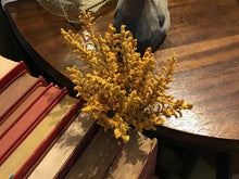 Load image into Gallery viewer, Short fall stems