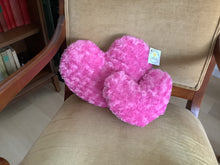 Load image into Gallery viewer, Pillow