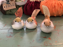 Load image into Gallery viewer, Bird