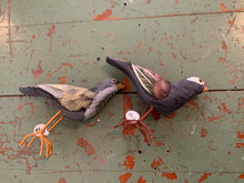 Load image into Gallery viewer, Bird