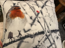 Load image into Gallery viewer, Pillow