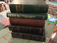 Load image into Gallery viewer, Vintage Books
