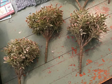 Load image into Gallery viewer, Greenery pick