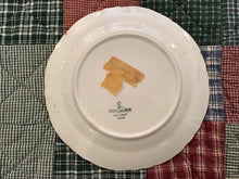 Load image into Gallery viewer, Display plates