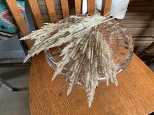 Load image into Gallery viewer, Short fall stems