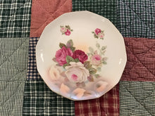 Load image into Gallery viewer, Display plates