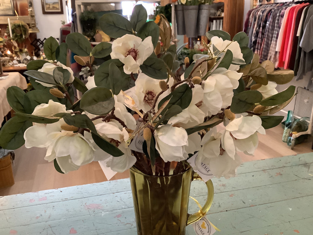 Magnolia Branch