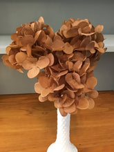 Load image into Gallery viewer, Short fall stems
