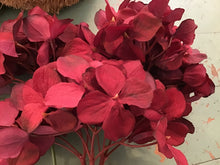 Load image into Gallery viewer, Short fall stems
