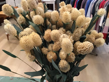Load image into Gallery viewer, Neutral fall stems
