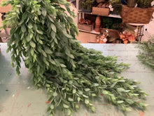 Load image into Gallery viewer, Hanging vine

