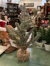 Load image into Gallery viewer, Pine tree
