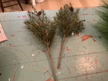 Load image into Gallery viewer, Winter Greenery Stems
