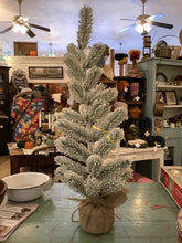 Load image into Gallery viewer, Pine tree
