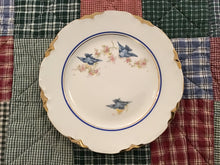 Load image into Gallery viewer, Display plates
