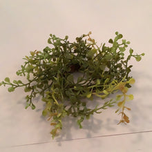Load image into Gallery viewer, Baby’s grass candle ring
