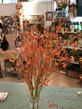 Load image into Gallery viewer, Paper floral stems
