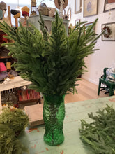 Load image into Gallery viewer, Real Feel Norfolk Pine Branches
