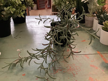 Load image into Gallery viewer, Faux potted plants
