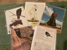 Load image into Gallery viewer, Book illustration

