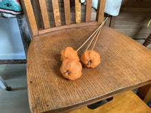 Load image into Gallery viewer, Natural pumpkin decor
