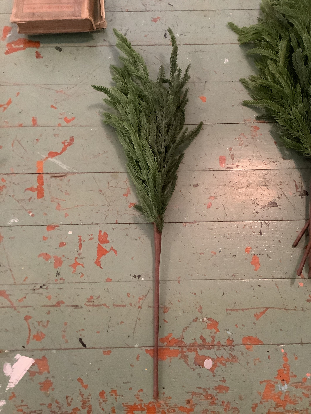 Real Feel Norfolk Pine Branches