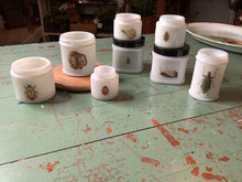 Load image into Gallery viewer, Bug jars
