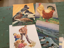 Load image into Gallery viewer, Book illustration
