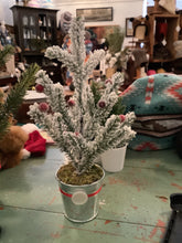 Load image into Gallery viewer, Pine tree
