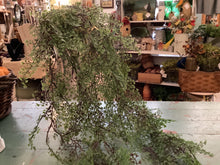 Load image into Gallery viewer, Hanging vine
