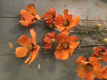 Load image into Gallery viewer, Fall Cosmos Stem
