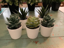 Load image into Gallery viewer, Faux potted plants
