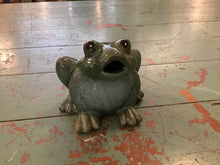Load image into Gallery viewer, Frog
