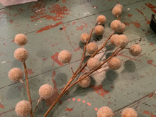 Load image into Gallery viewer, Winter Greenery Stems
