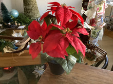 Load image into Gallery viewer, Faux Poinsetta
