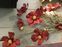 Load image into Gallery viewer, Fall Cosmos Stem
