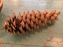 Load image into Gallery viewer, Pine cone
