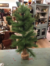 Load image into Gallery viewer, Pine tree
