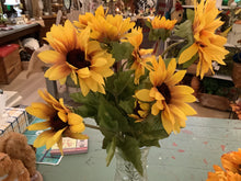 Load image into Gallery viewer, Sunflower bushes
