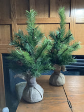 Load image into Gallery viewer, Pine tree
