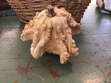 Load image into Gallery viewer, Dried gourds
