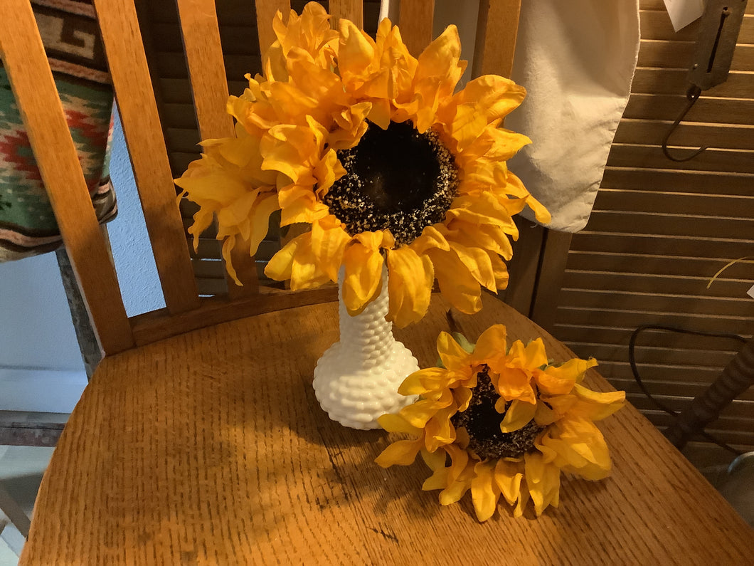 Sunflower stems