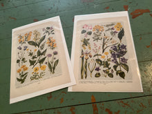 Load image into Gallery viewer, Book illustration
