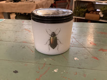 Load image into Gallery viewer, Bug jars

